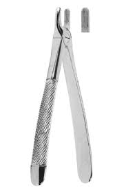 Extracting Forceps - English Pattern